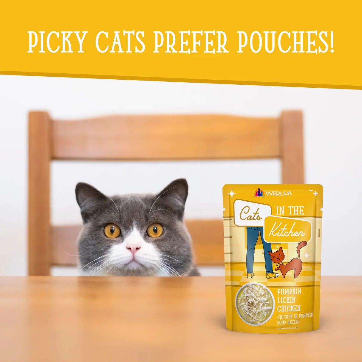 Weruva Cats in the Kitchen Pouch: Pumpkin Lickin' Chicken | Bark Slope