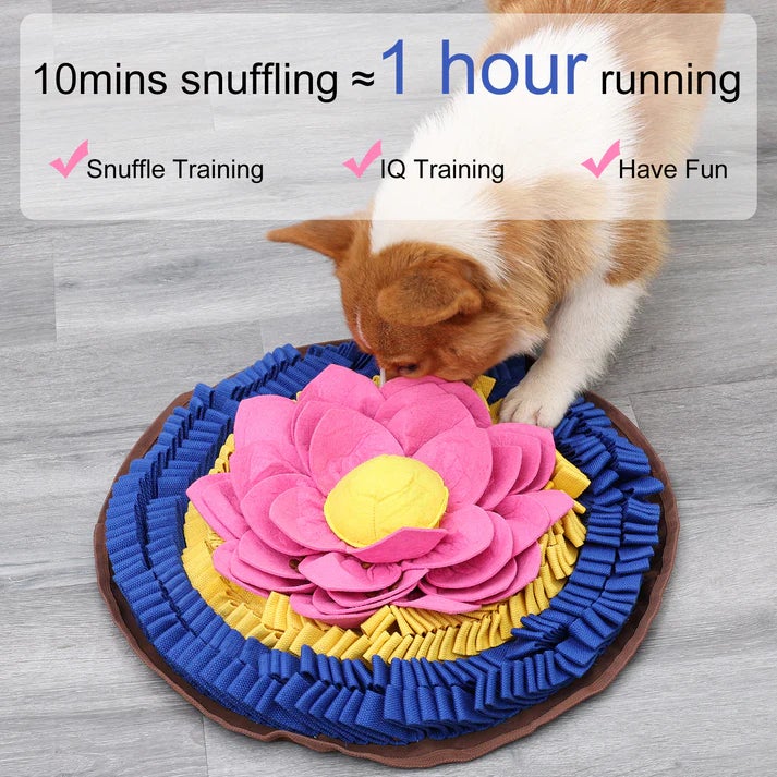PawzNDogz Snuffle Mats: Level 3 | Bark Slope