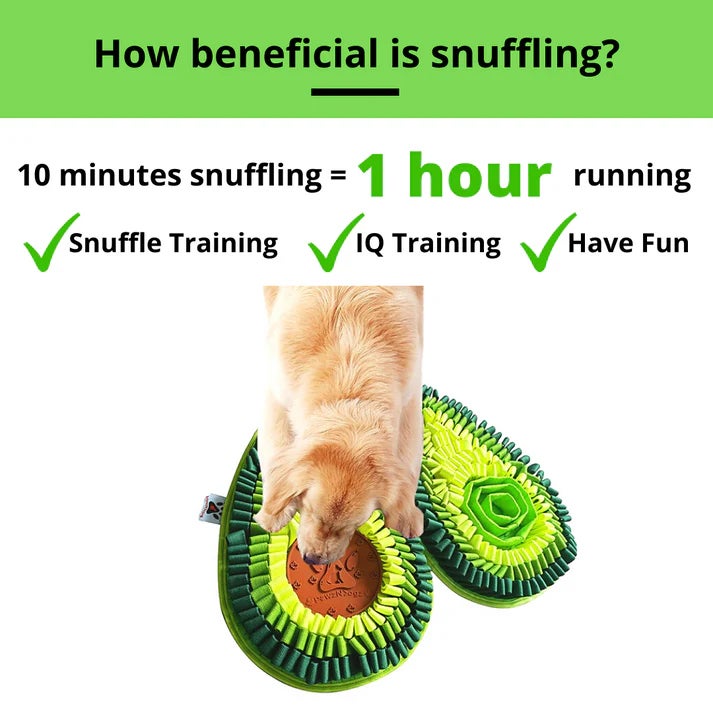 PawzNDogz Snuffle Mats: Level 3 | Bark Slope
