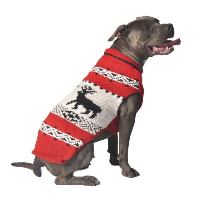 Pet sweaters for large dogs best sale