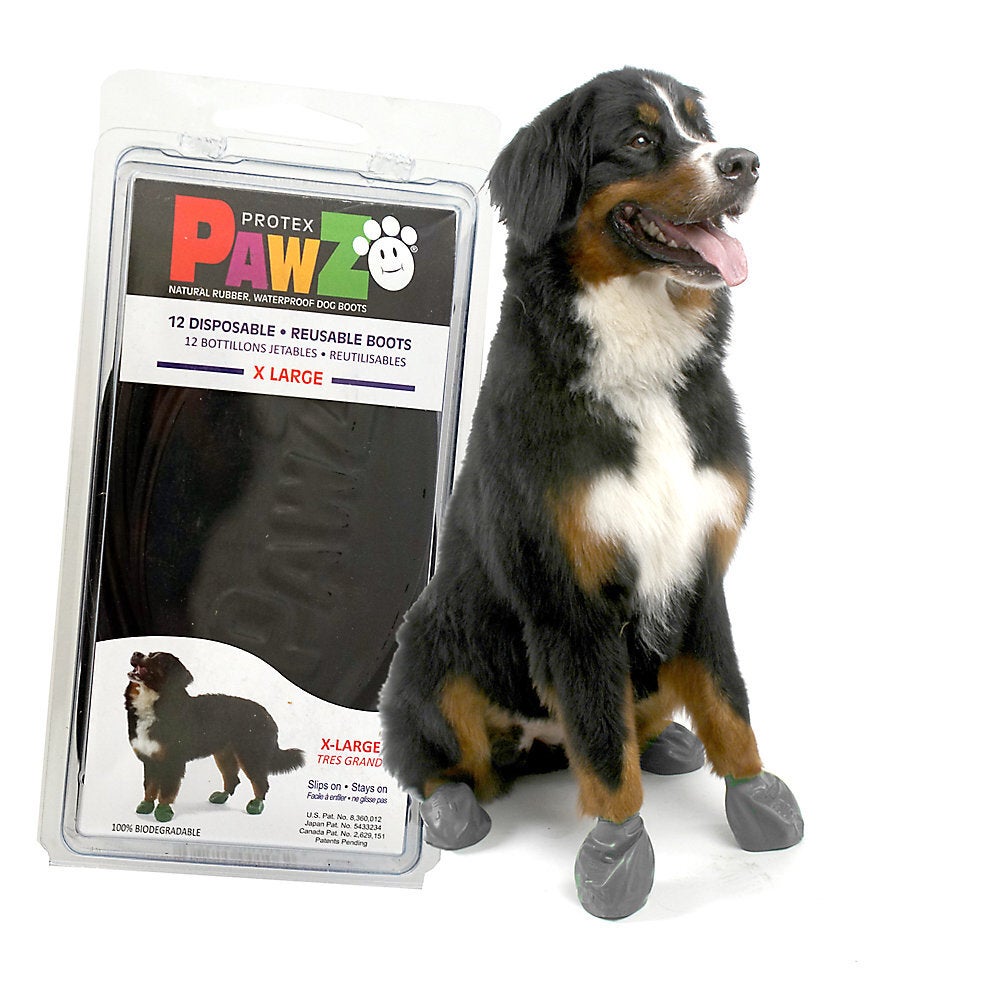 Pawz disposable dog clearance boots