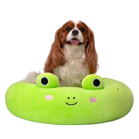 Ultrasoft Squishmallows Dog Bed Review - Sidewalk Dog