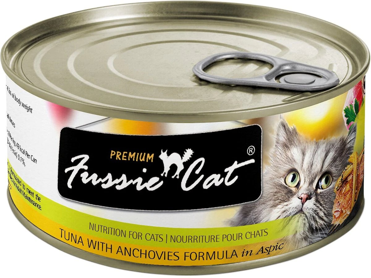 Fussie store cat premium